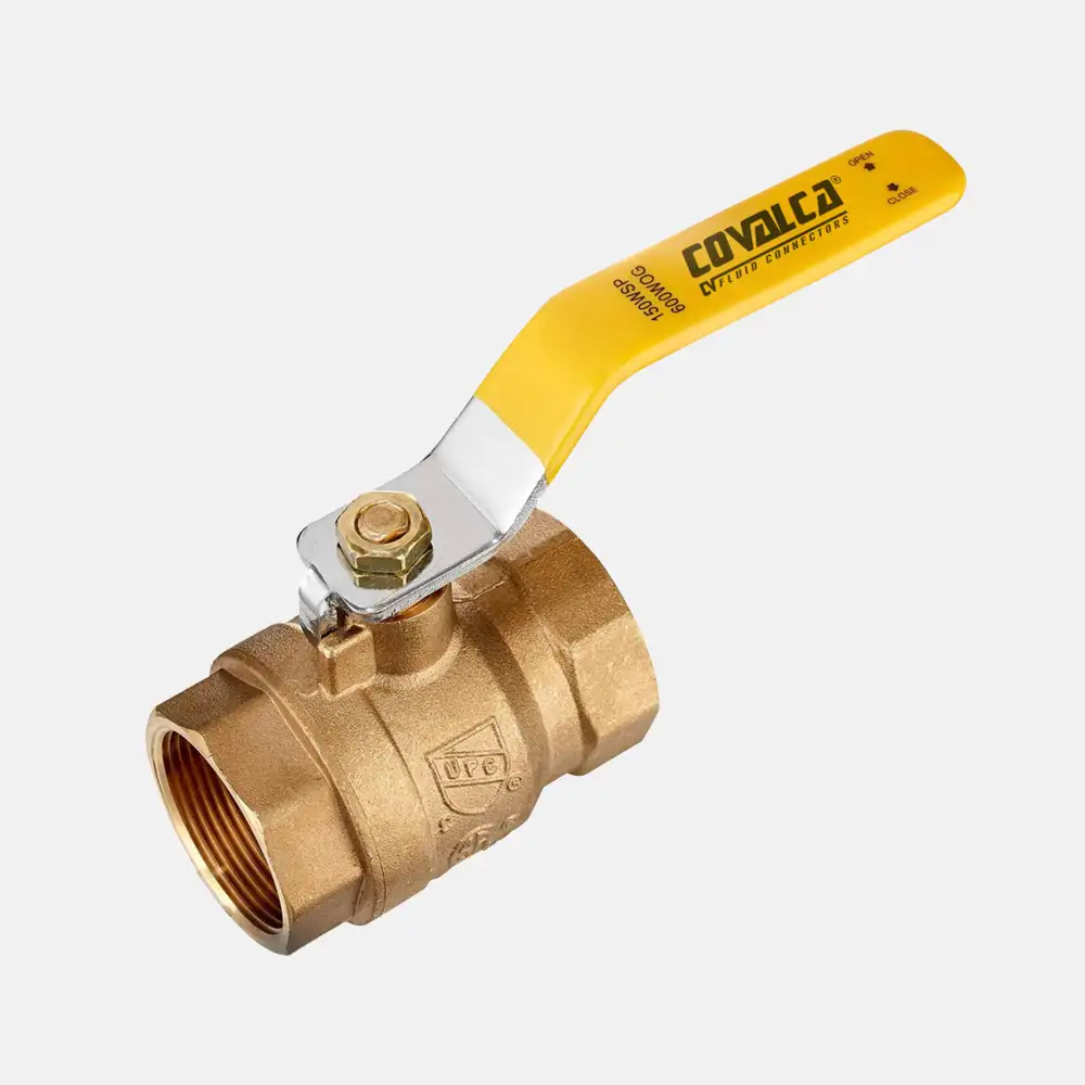 BV600-800X BV600-800X